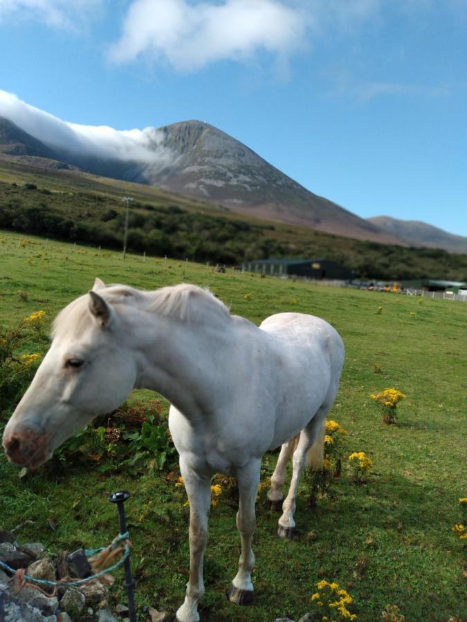 Elmgrove Apartment , Croagh Patrick Westport Buitenkant foto